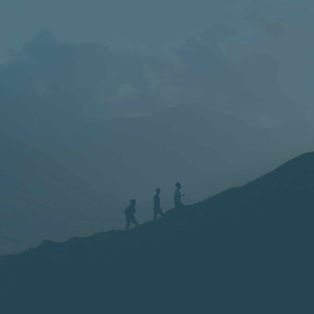 enable security and investigations operations